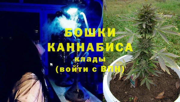 PSILOCYBIN Армянск