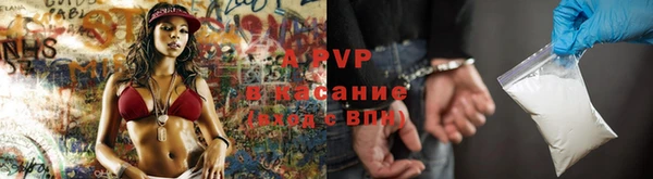 PSILOCYBIN Армянск