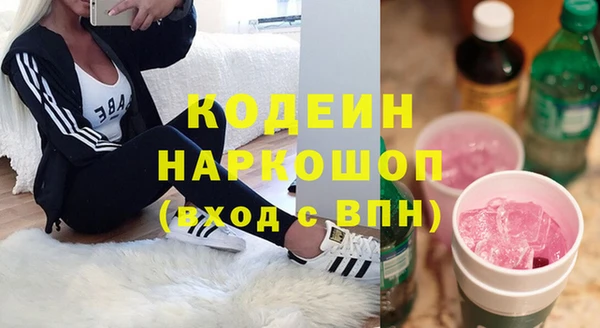 дживик Арсеньев